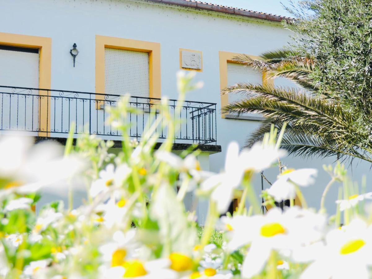 Nogueira Country House Guest House Fundao Exterior photo