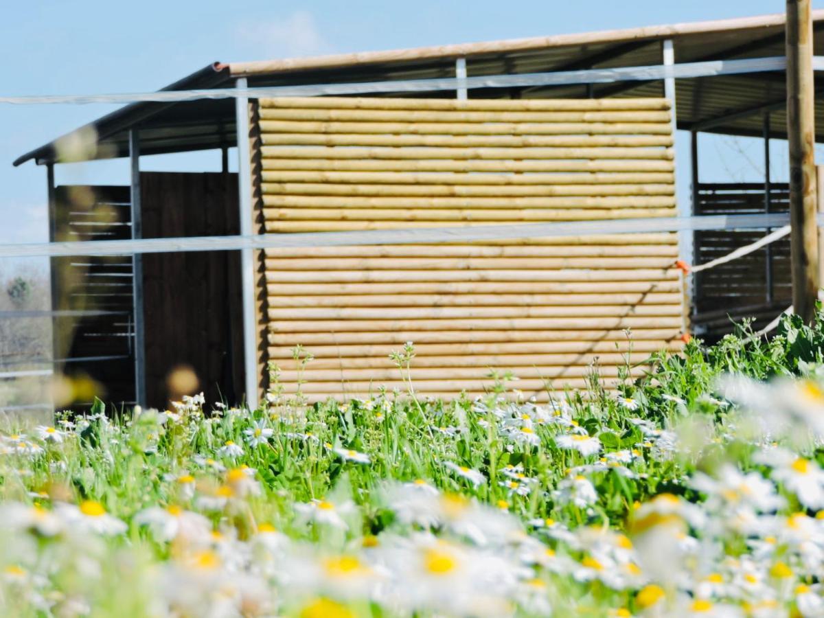 Nogueira Country House Guest House Fundao Exterior photo