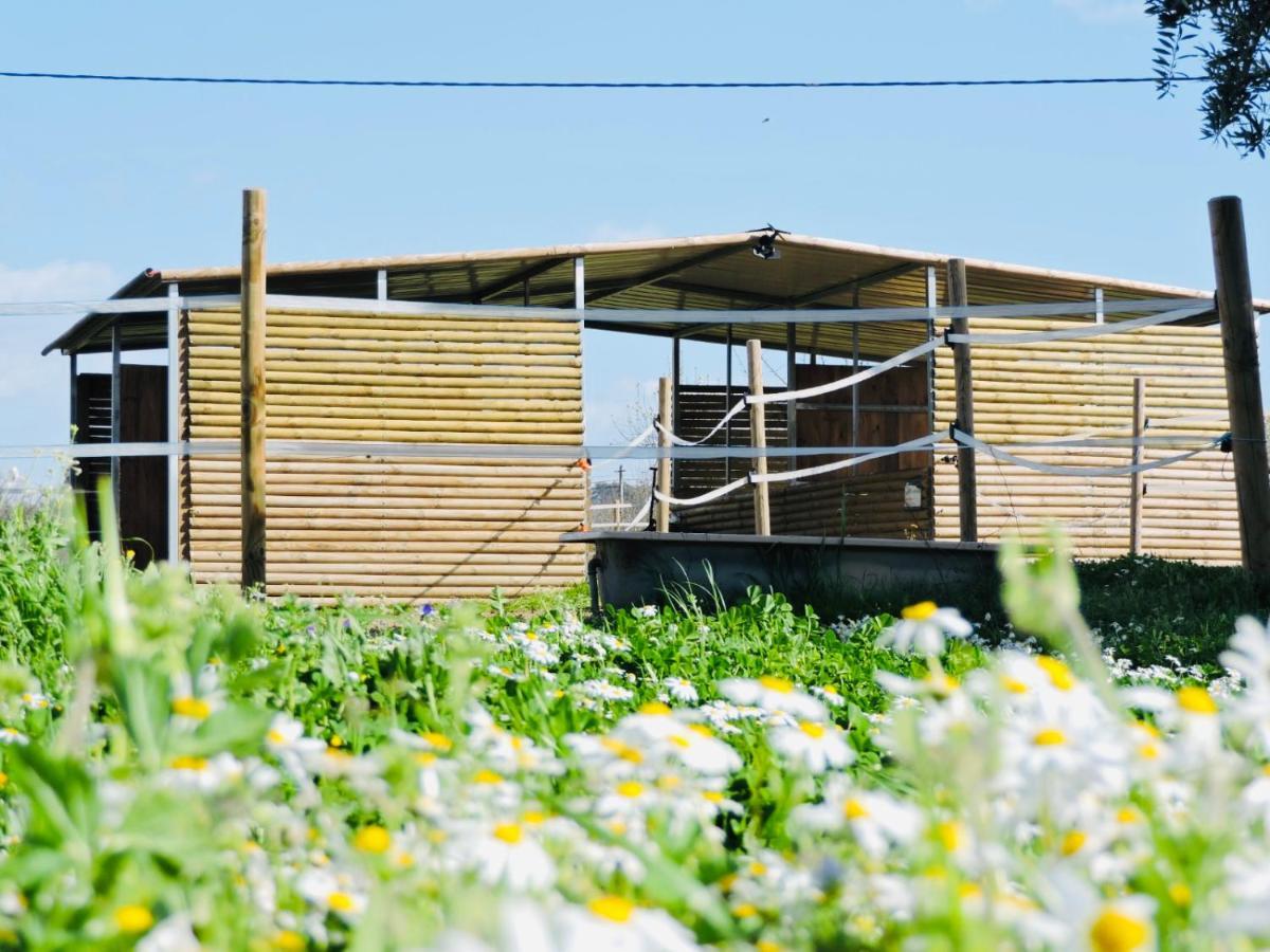 Nogueira Country House Guest House Fundao Exterior photo